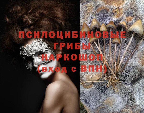 винт Каменка