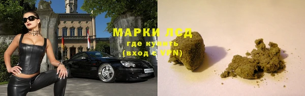 прущие крисы Инта