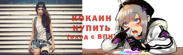 винт Каменка