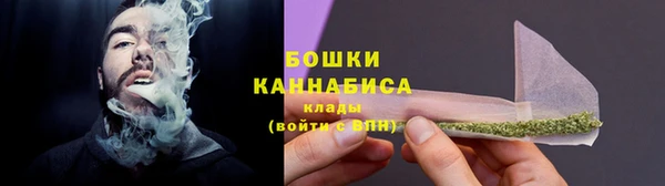 дживик Каменногорск