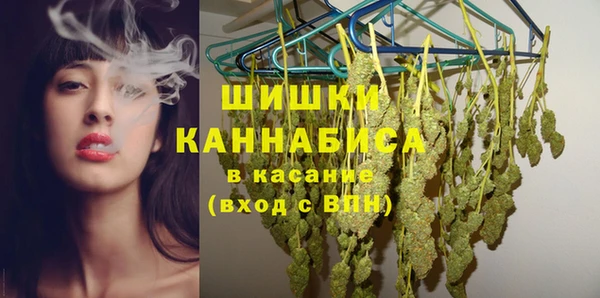 винт Каменка