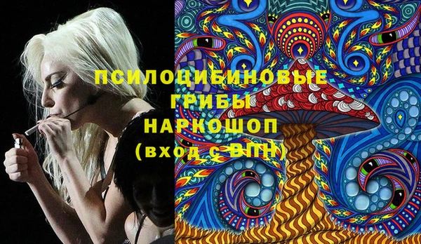 PSILOCYBIN Каменск-Шахтинский