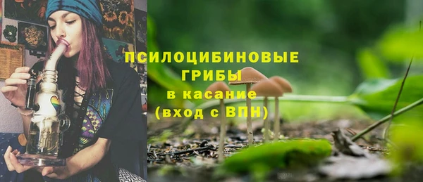 PSILOCYBIN Каменск-Шахтинский