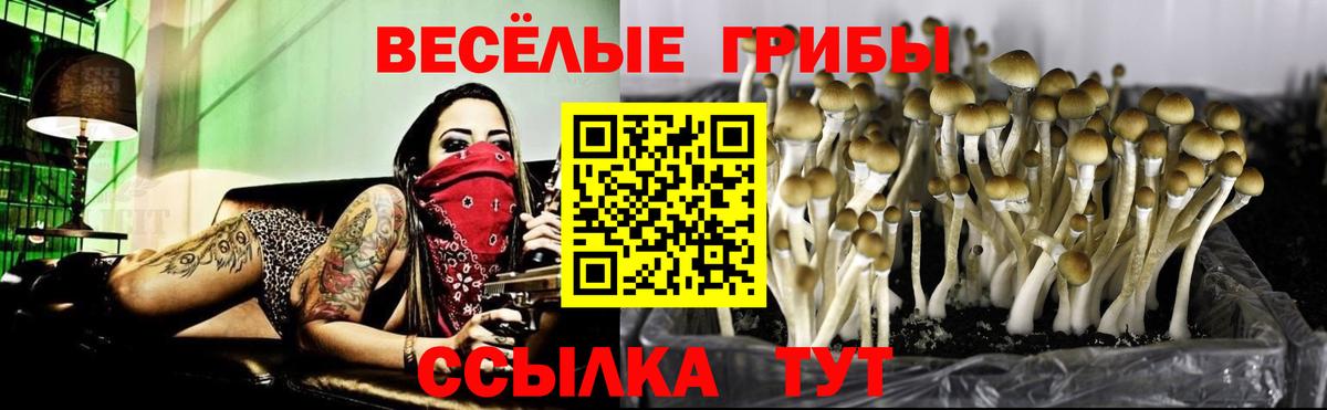 Галлюциногенные грибы Cubensis Пыть-Ях